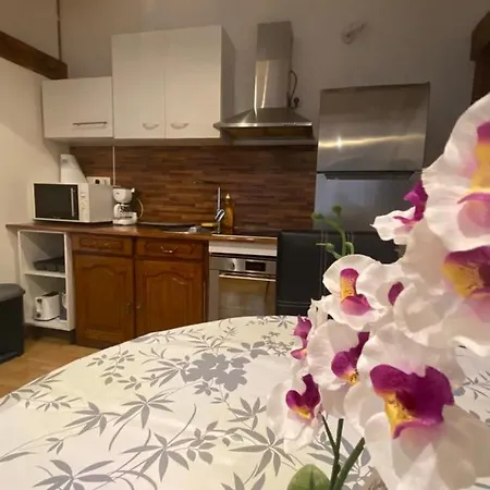 T2 Centre Apartment Tarbes